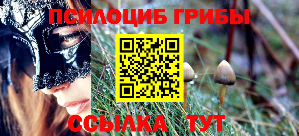 Галлюциногенные грибы MAGIC MUSHROOMS Полевской